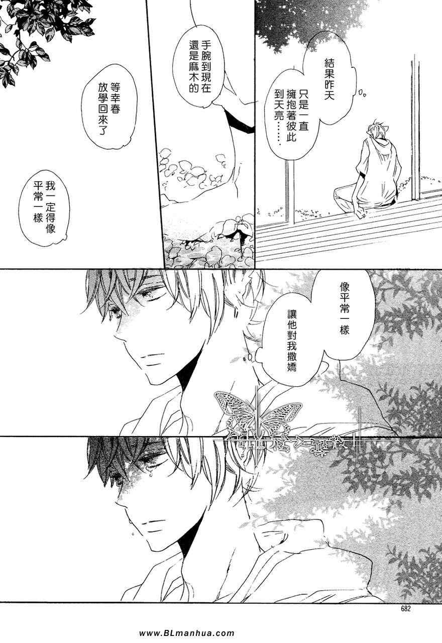 《猫新娘驾到》漫画 中篇