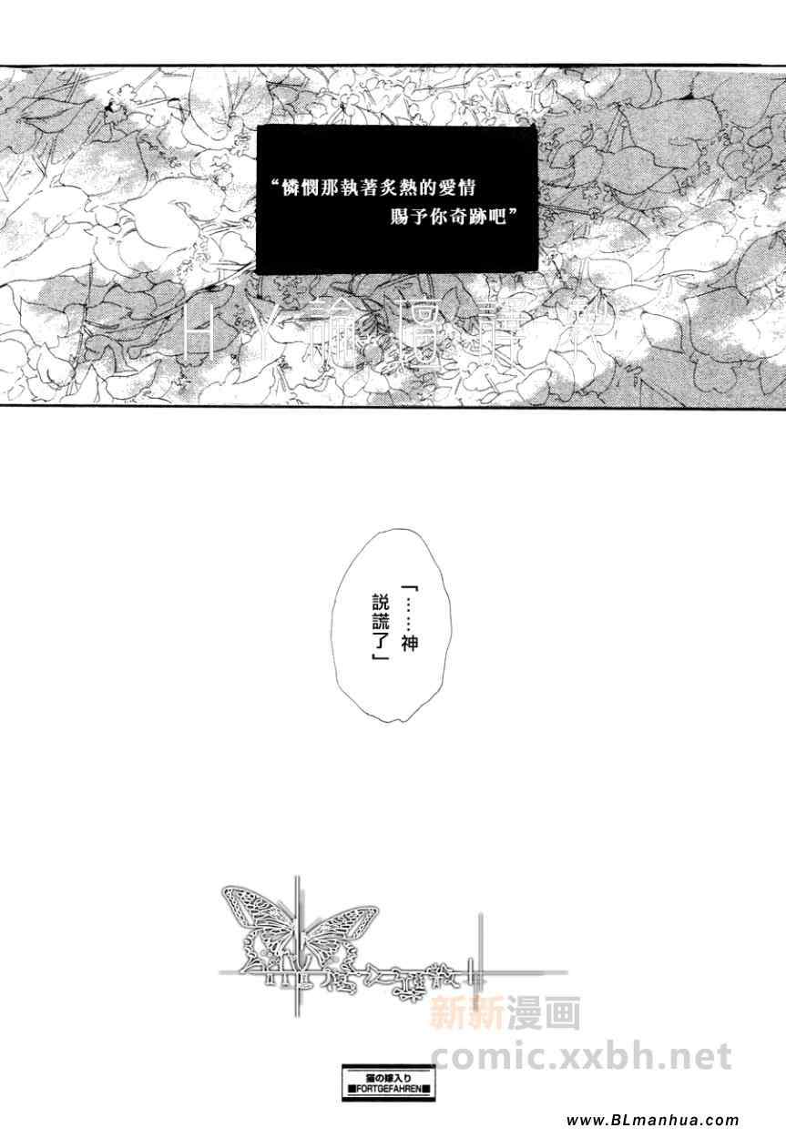 《猫新娘驾到》漫画 中篇