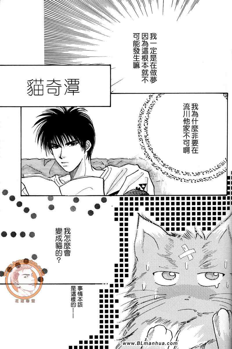 《不可思议猫奇潭》漫画 01集