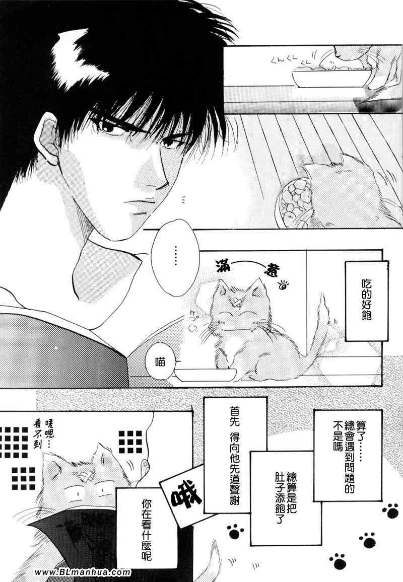 《不可思议猫奇潭》漫画 01集