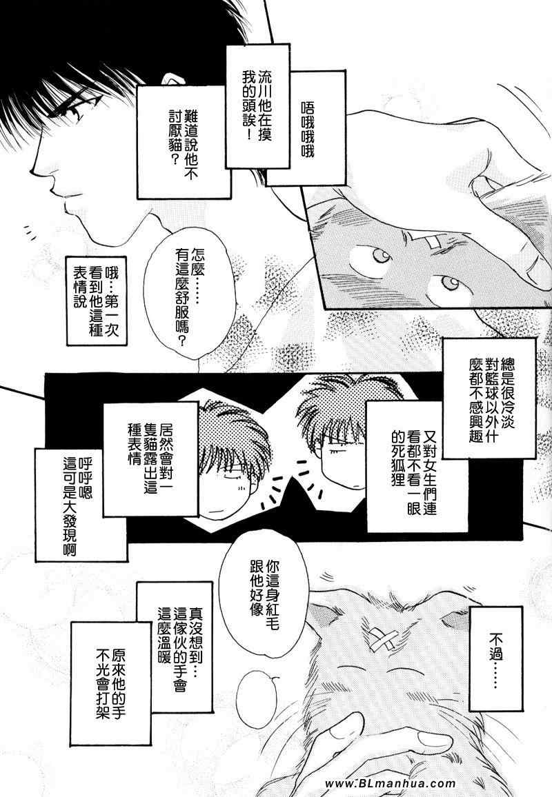 《不可思议猫奇潭》漫画 01集