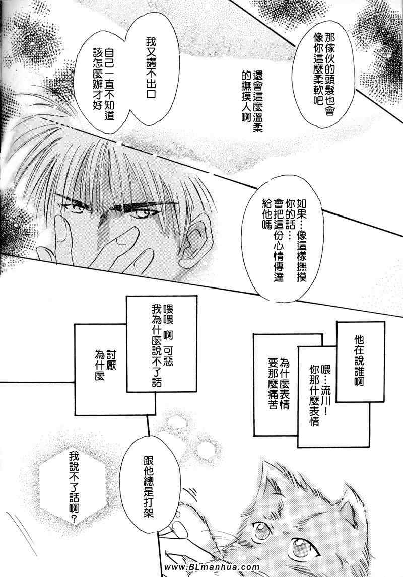 《不可思议猫奇潭》漫画 01集