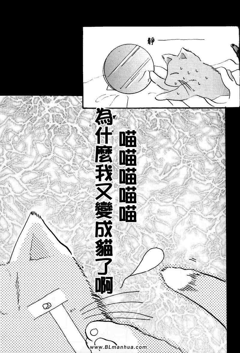 《不可思议猫奇潭》漫画 01集