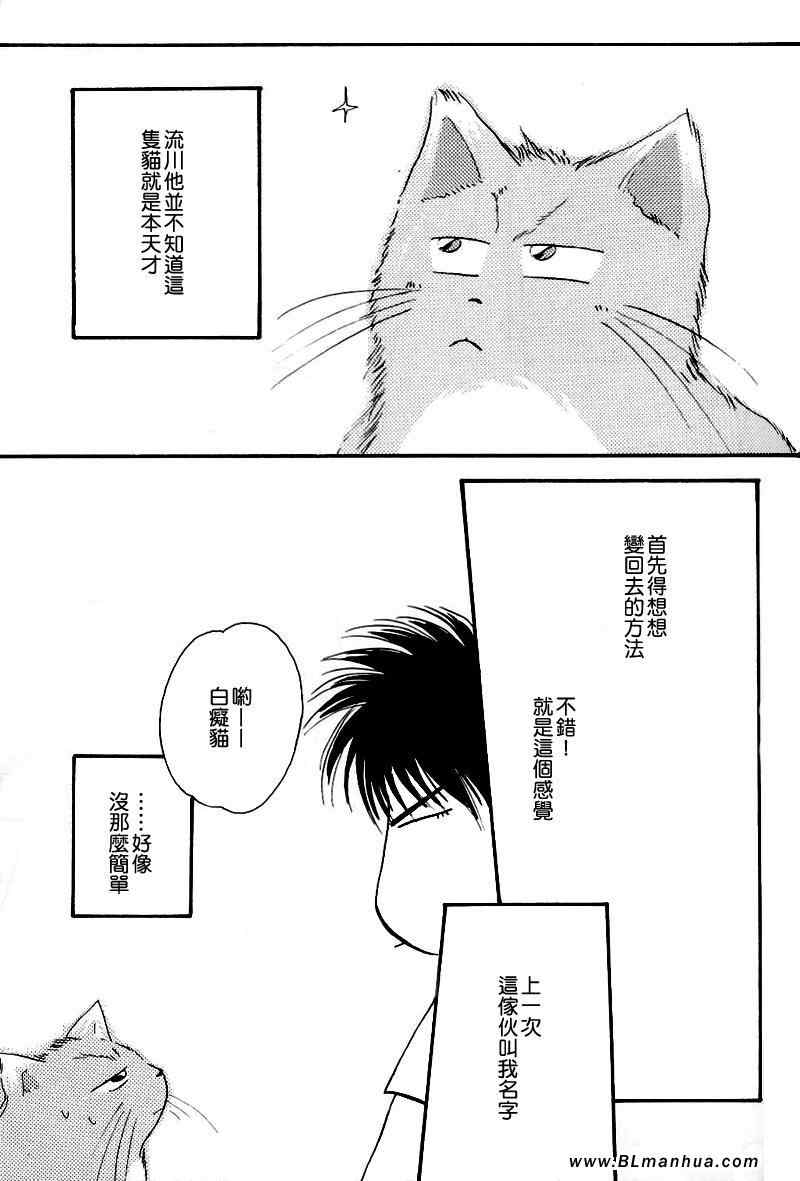 《不可思议猫奇潭》漫画 01集