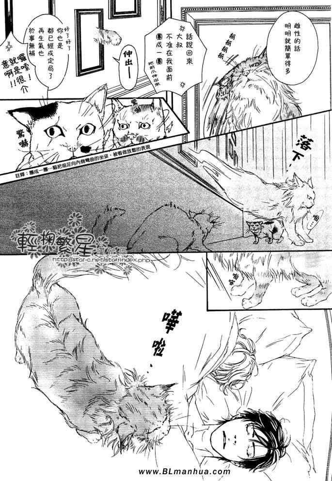 《美丽的缅因库恩猫》漫画 02集