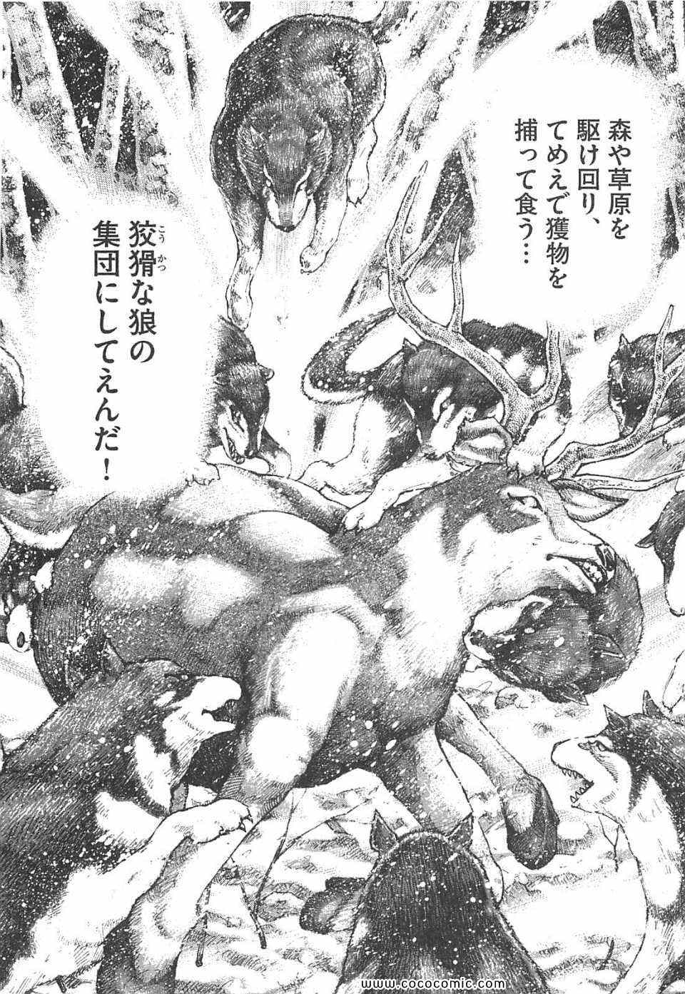 《マネーの拳(日文)》漫画 マネーの拳 11卷