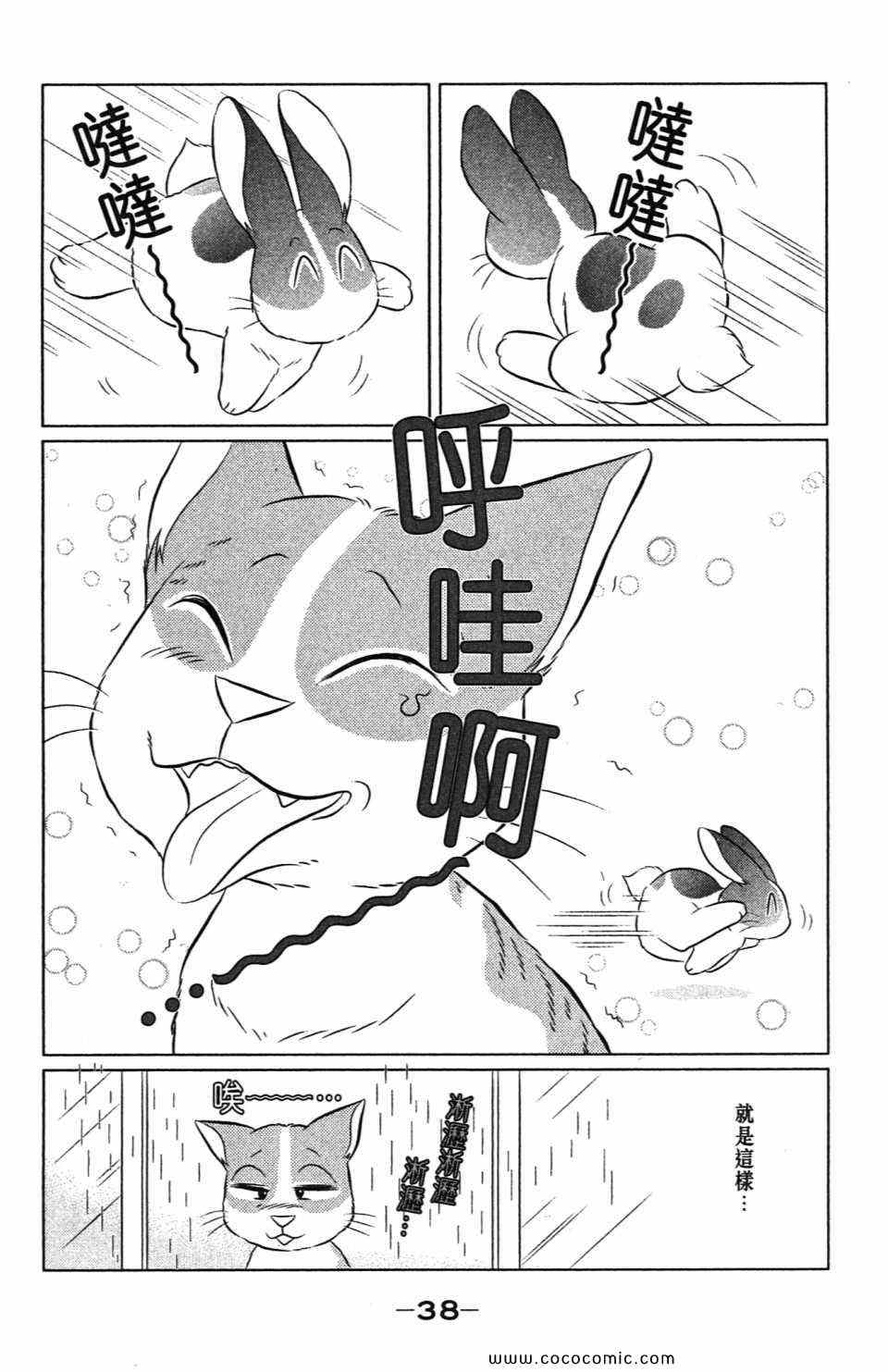 《蹦蹦跳跳仙太郎》漫画 36卷