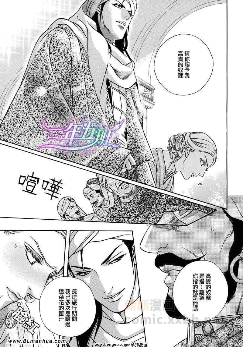 《Desert Rose 沙漠蔷薇》漫画 01集