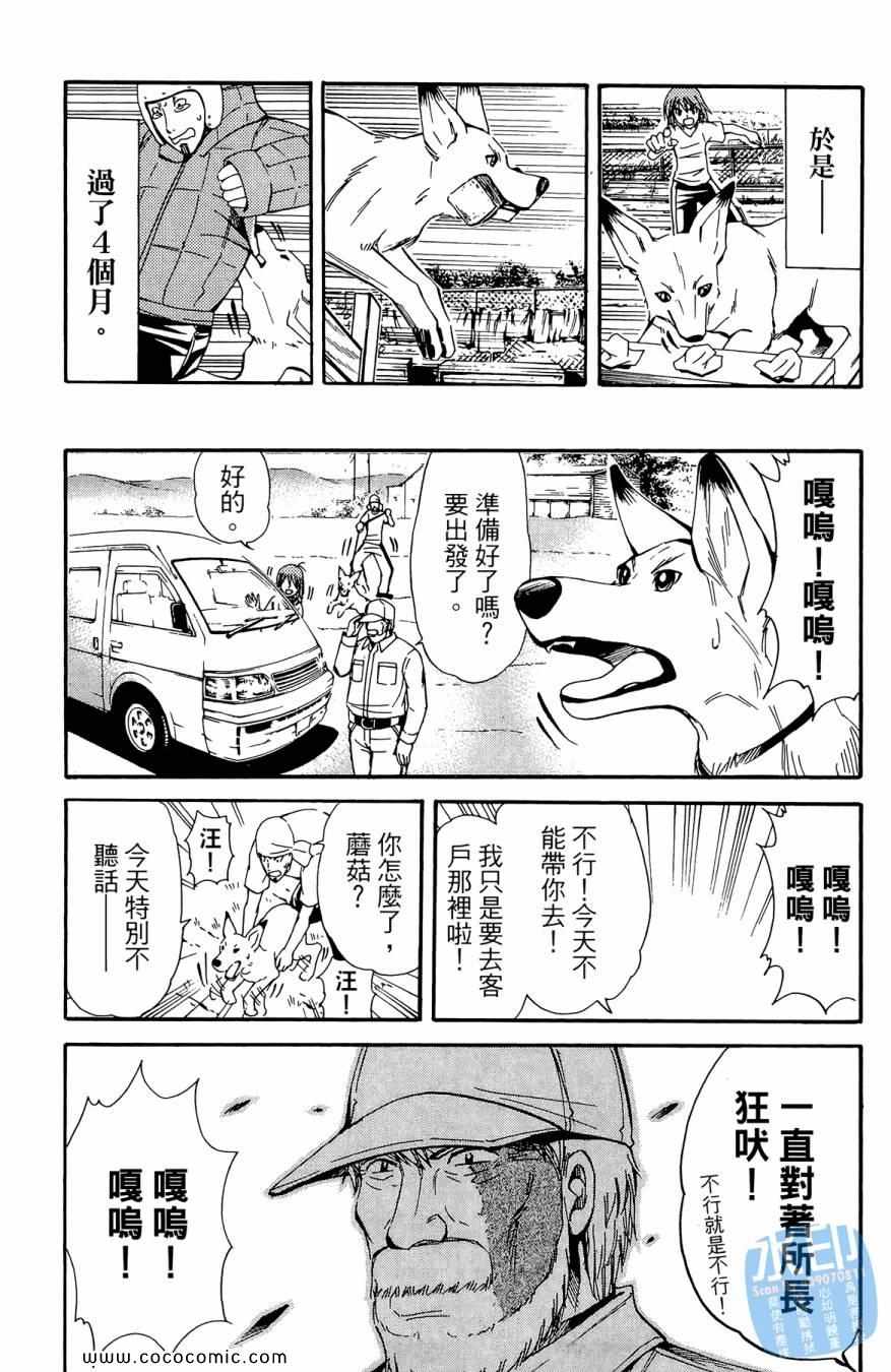 《警犬向前沖》漫画 02卷