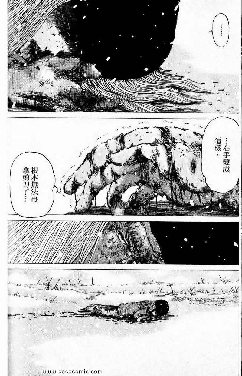 《三角草的春天》漫画 03卷