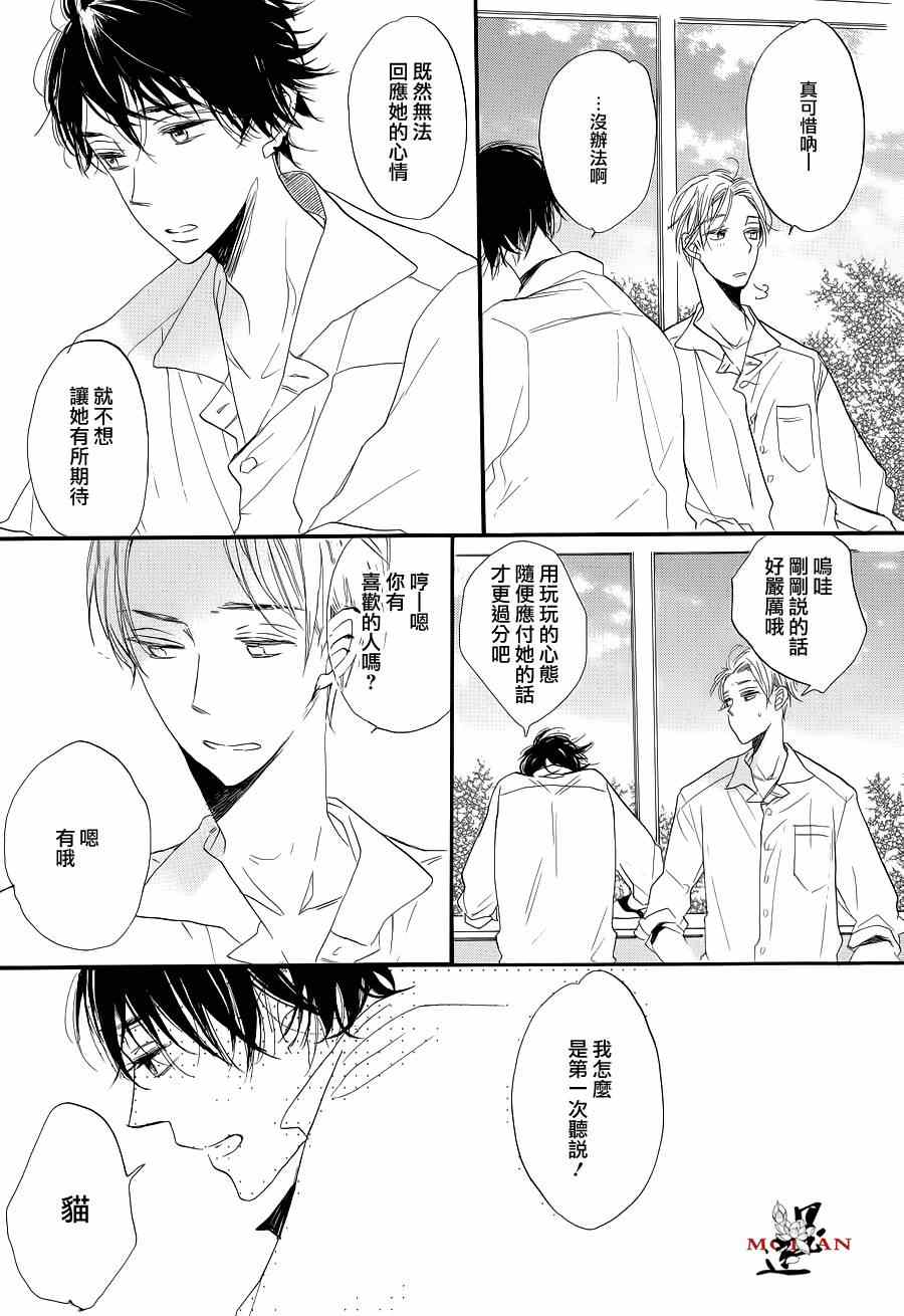 《猫咪的婚礼》漫画 后篇