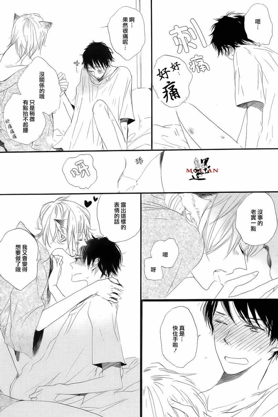 《猫咪的婚礼》漫画 后篇