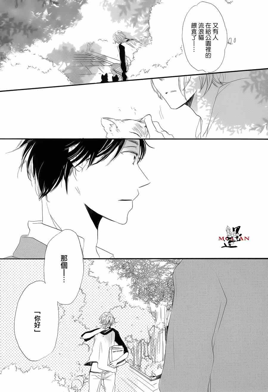 《猫咪的婚礼》漫画 后篇