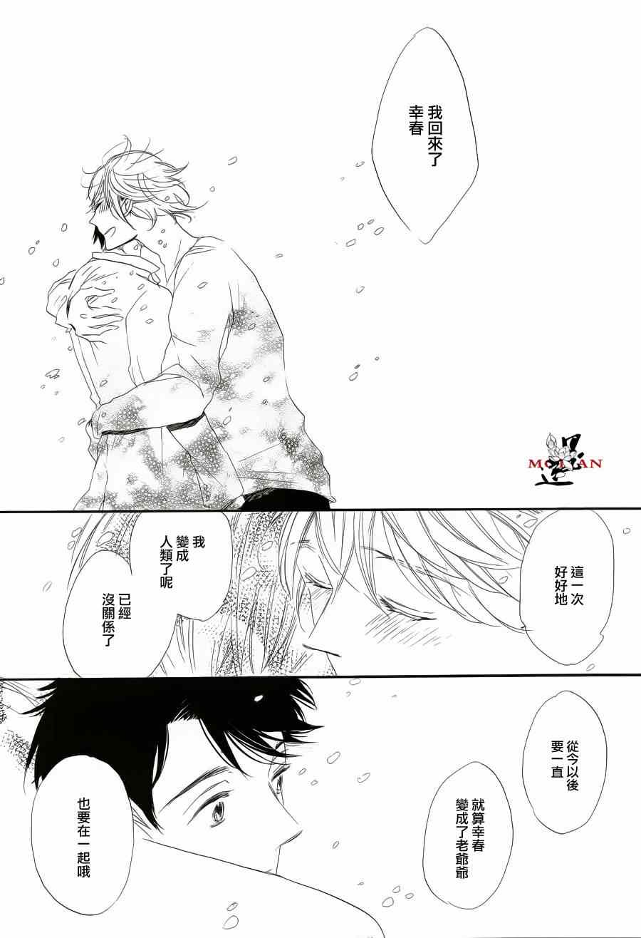 《猫咪的婚礼》漫画 后篇