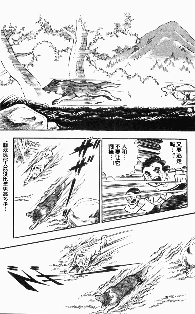 《白色战士大和犬》漫画 11集