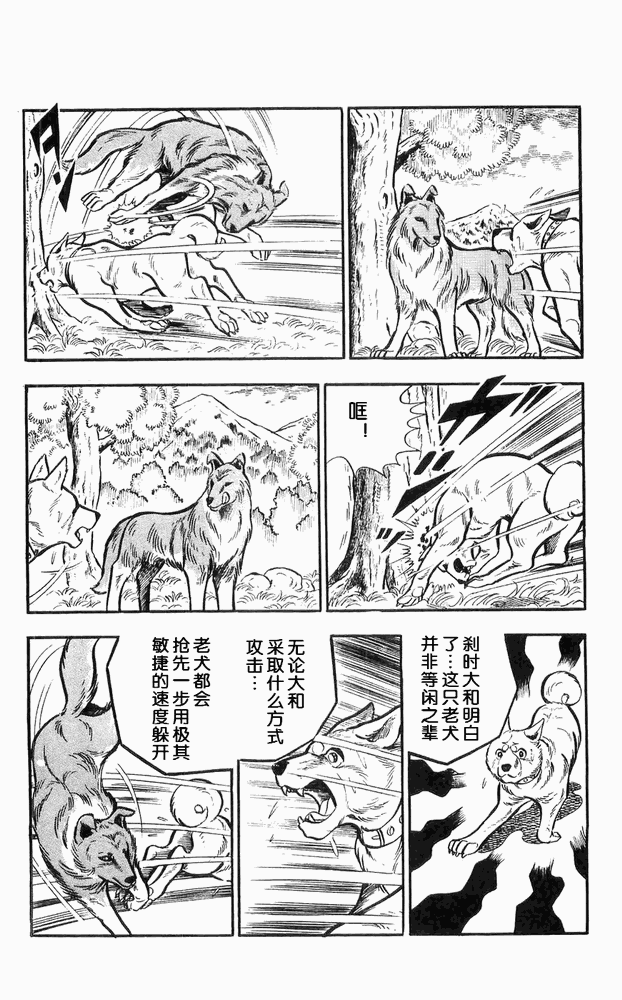 《白色战士大和犬》漫画 11集