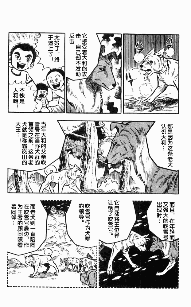 《白色战士大和犬》漫画 11集