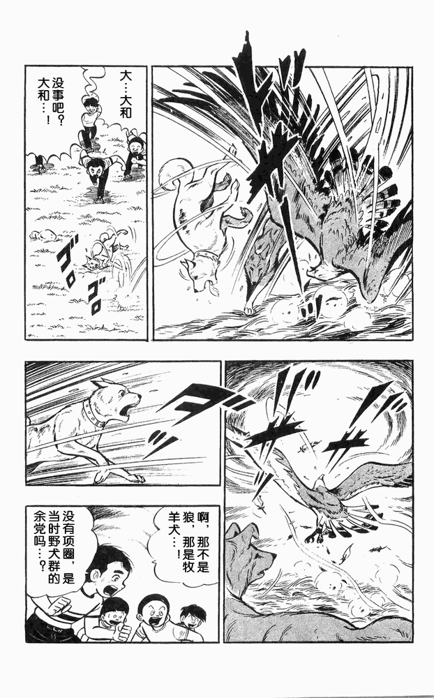 《白色战士大和犬》漫画 11集