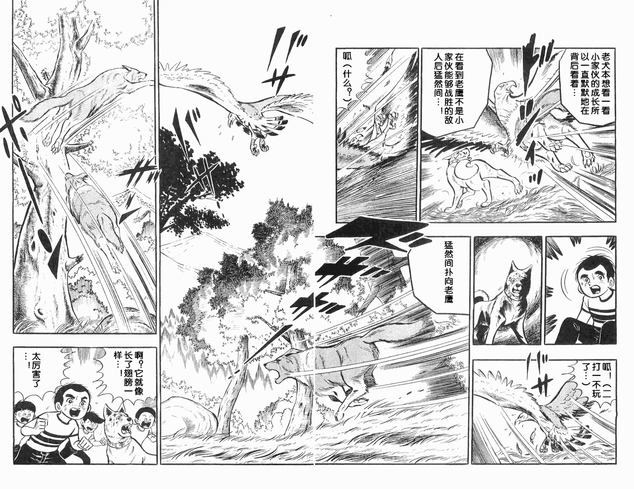 《白色战士大和犬》漫画 11集