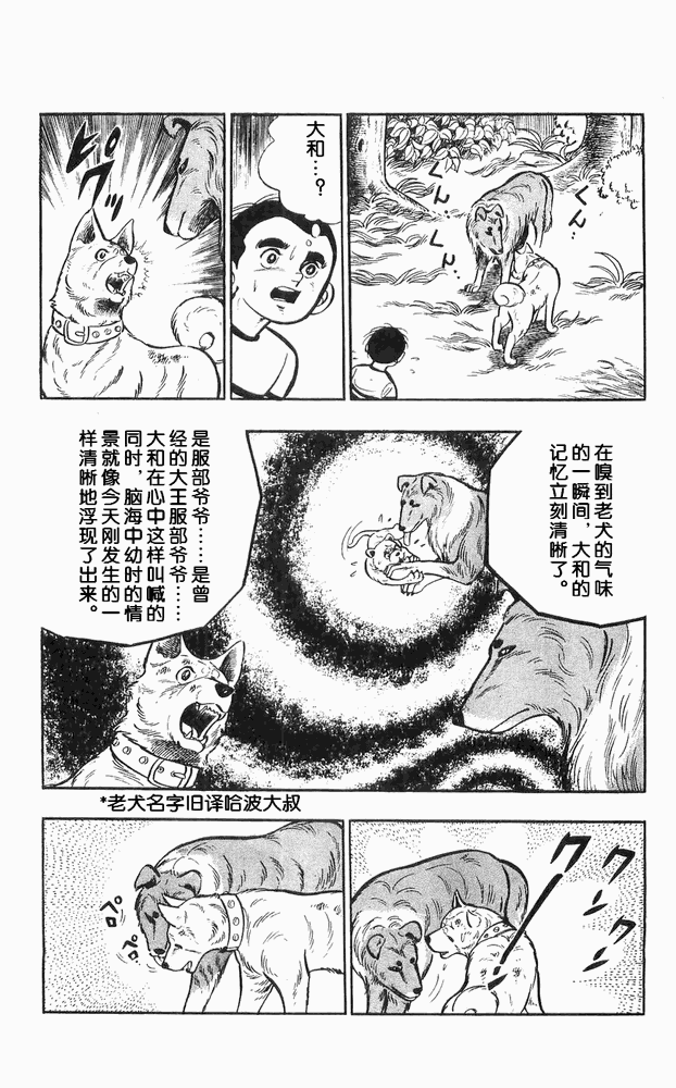 《白色战士大和犬》漫画 11集