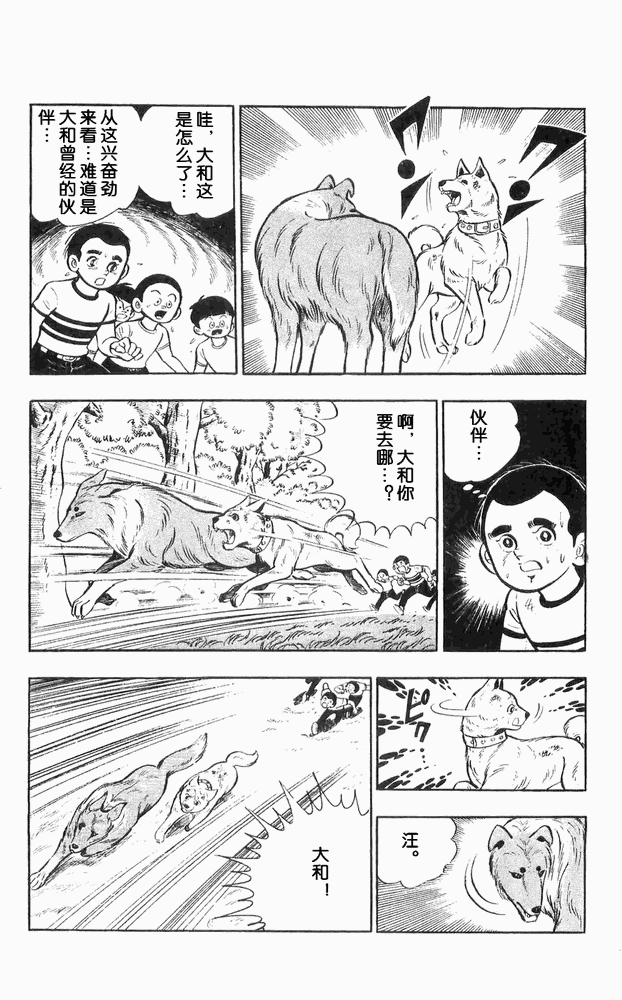 《白色战士大和犬》漫画 11集