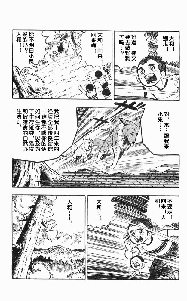 《白色战士大和犬》漫画 11集