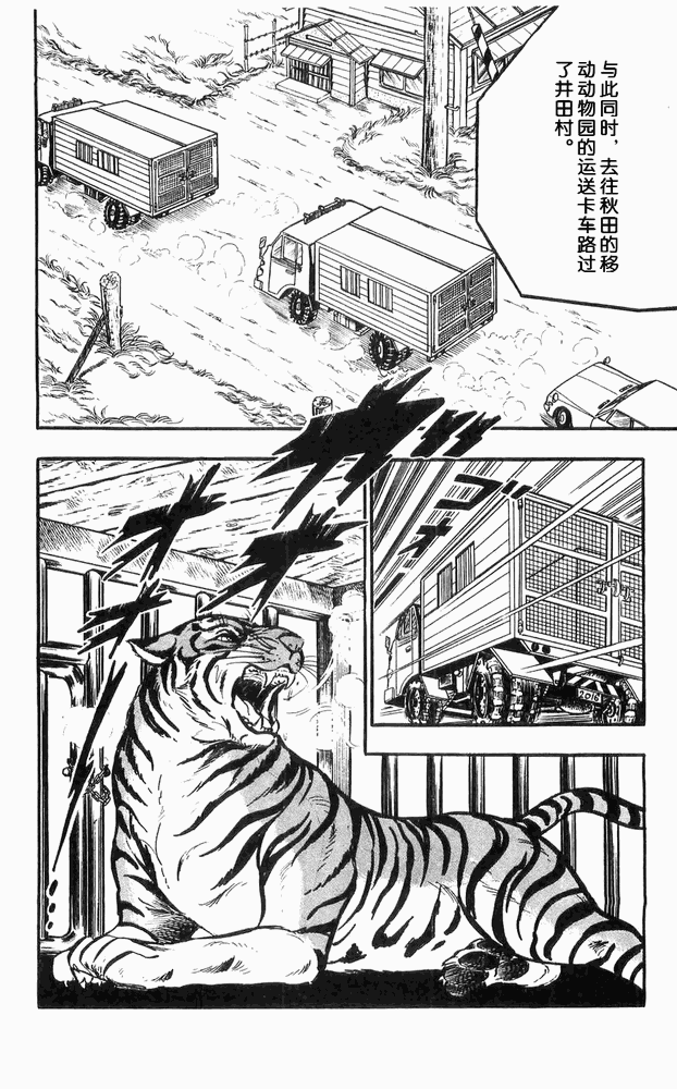 《白色战士大和犬》漫画 11集