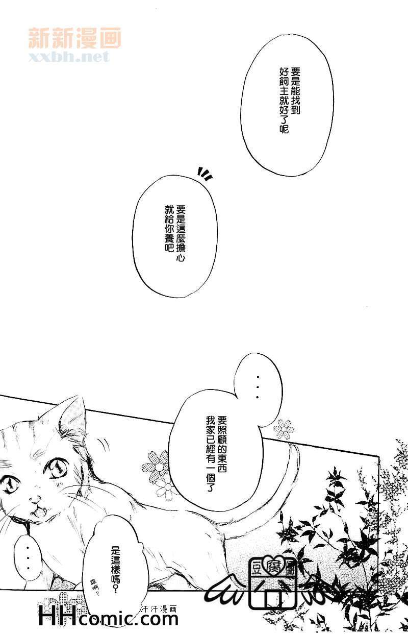 《Domestic cat》漫画 01集