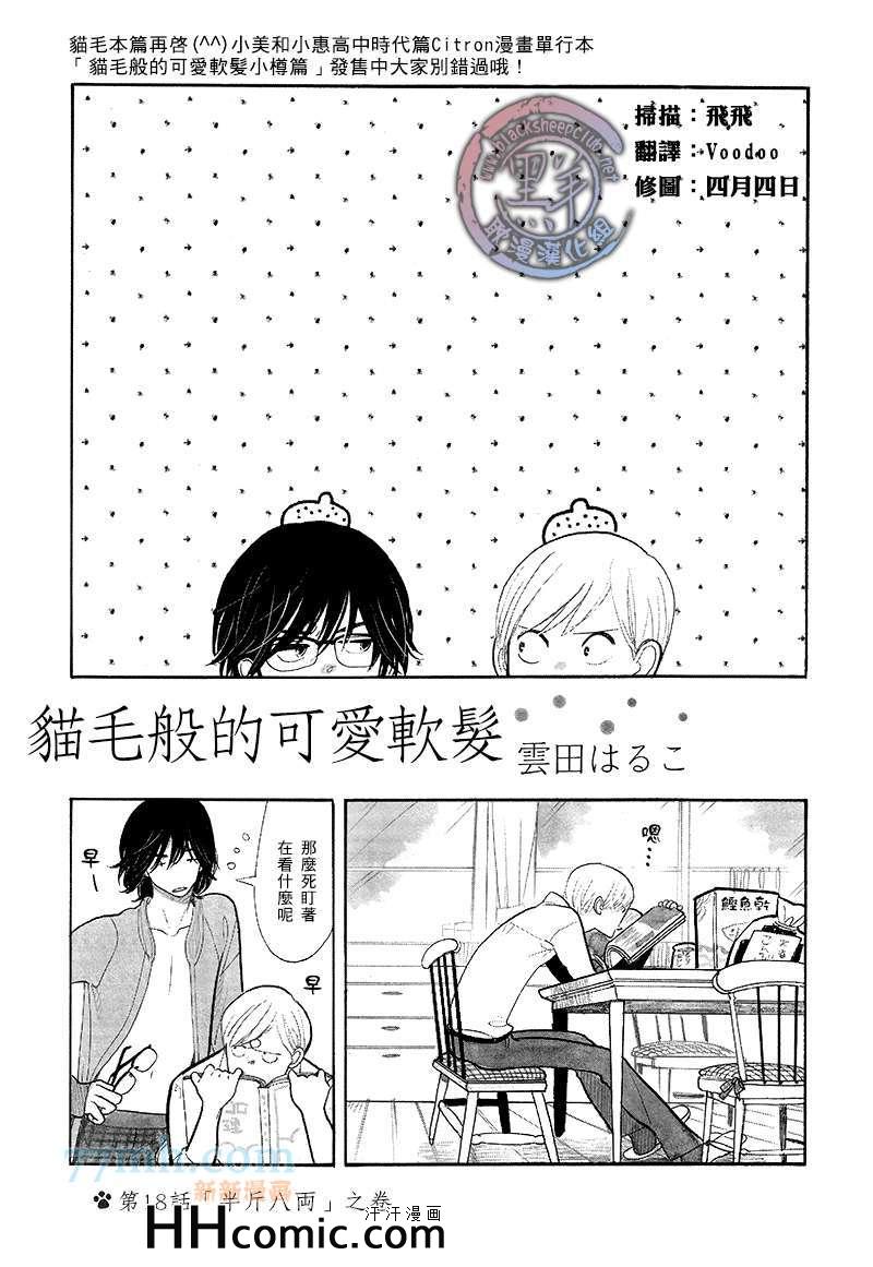 《猫毛般的可爱软发》漫画 18集