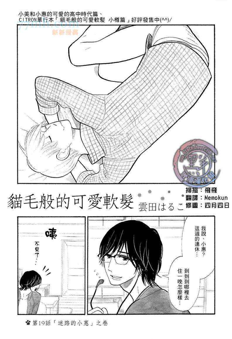 《猫毛般的可爱软发》漫画 19集