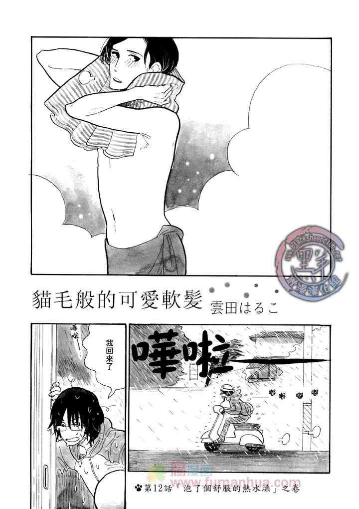 《猫毛般的可爱软发》漫画 11-12集