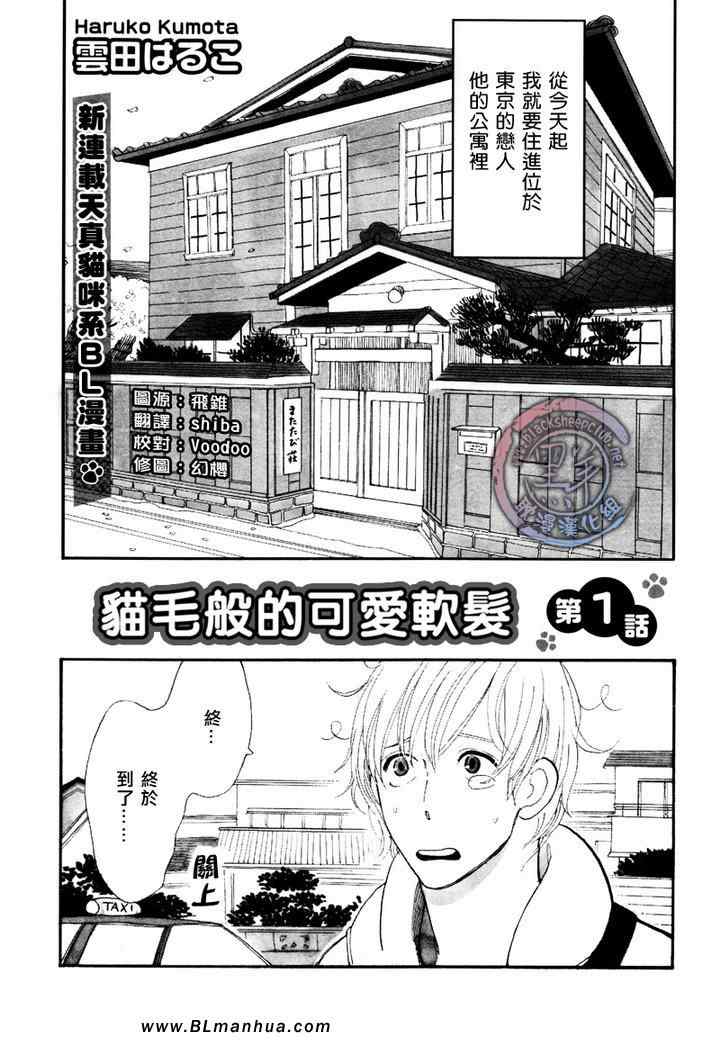 《猫毛般的可爱软发》漫画 01集