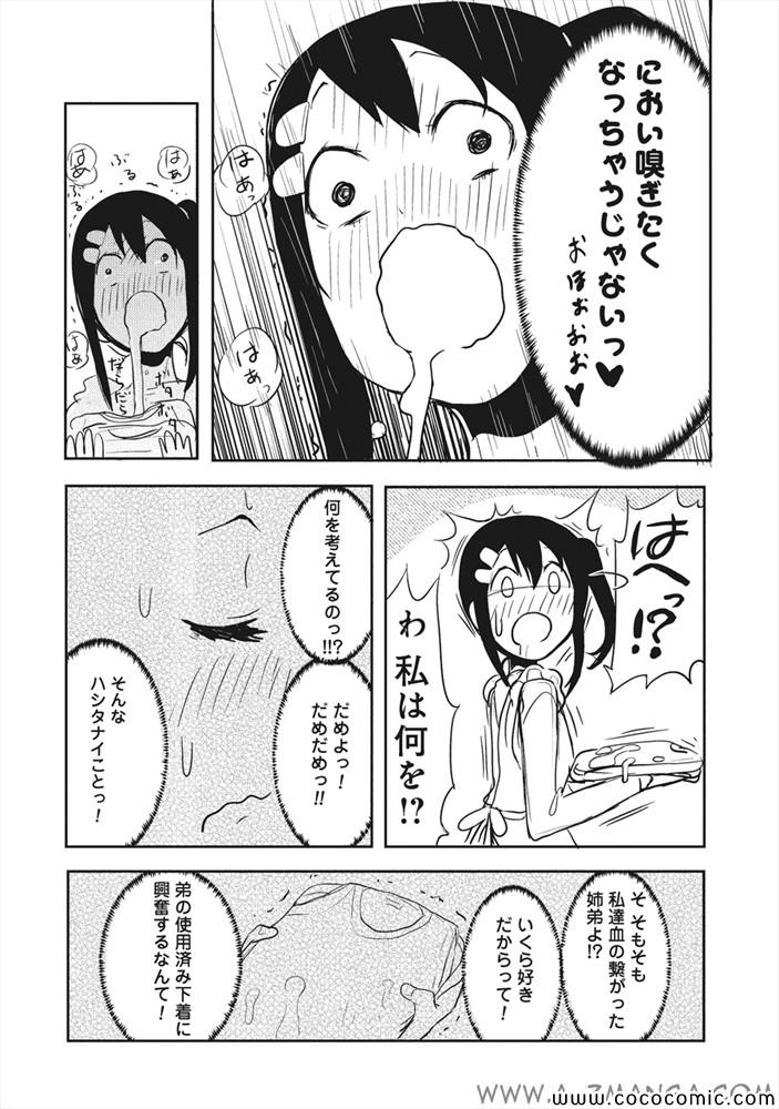 《あねちゅう!溺爱闷絶美奈子さん(日文)》漫画 あねちゅう 001卷