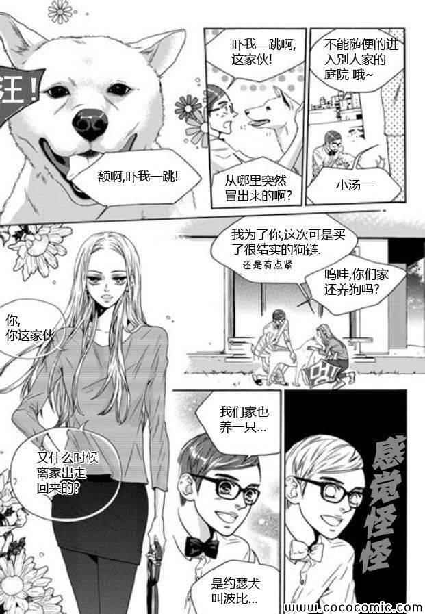 《韩俗乐明星》漫画 007集