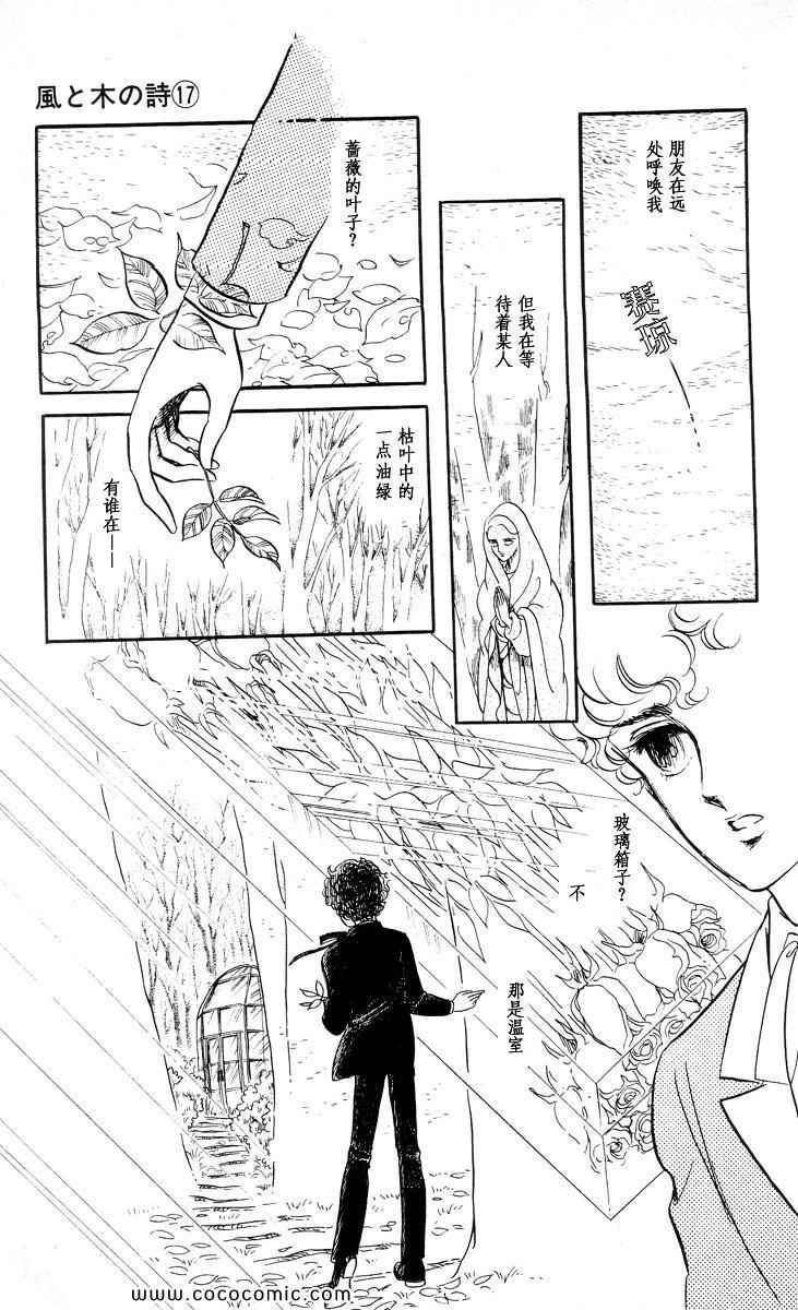 《风与木之诗》漫画 17卷