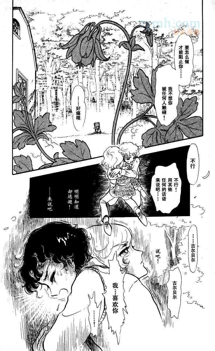 《风与木之诗》漫画 14卷