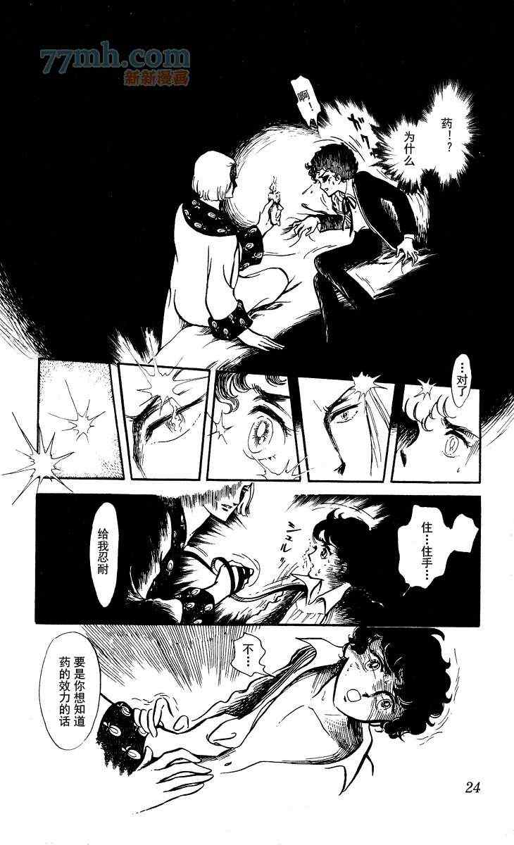 《风与木之诗》漫画 13卷