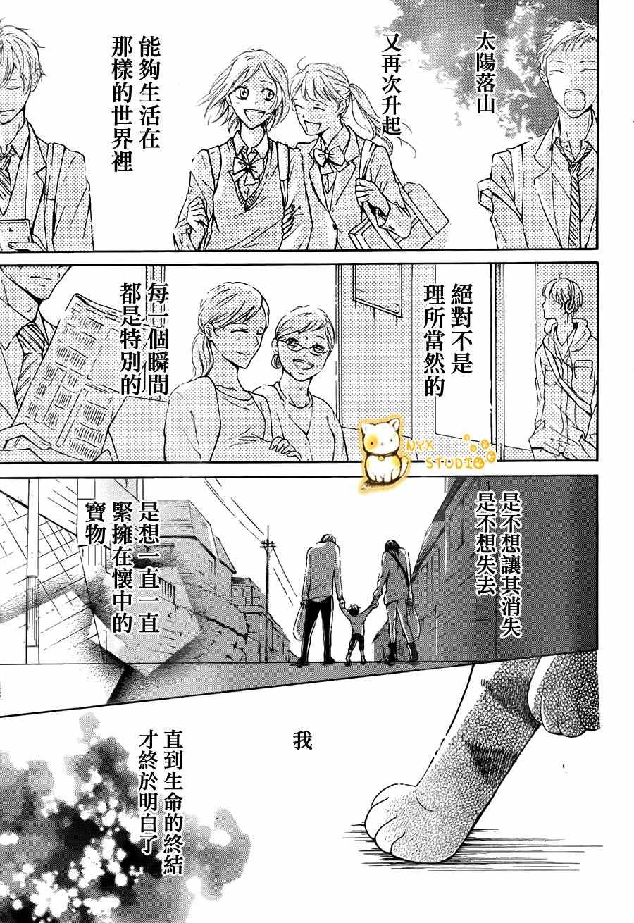 《倘若猫从世界上消失》漫画 019话