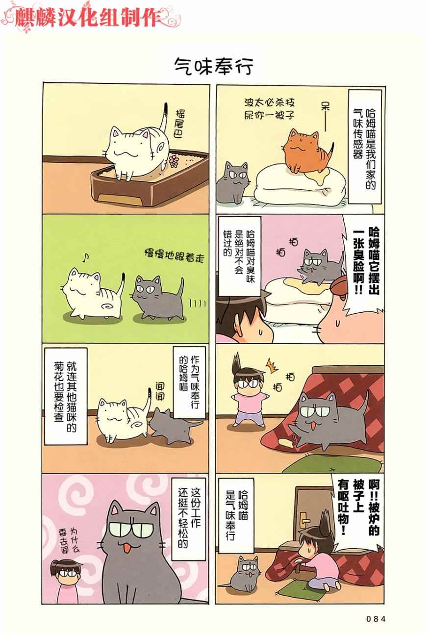 《笨太的日常生活》漫画 57-80话