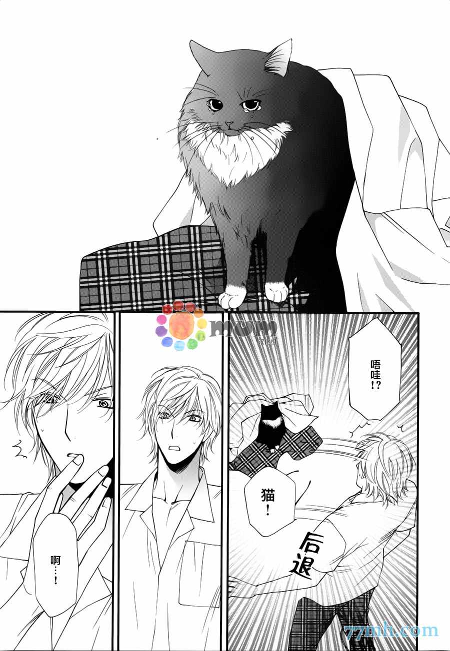 《猫咪达令》漫画 10话