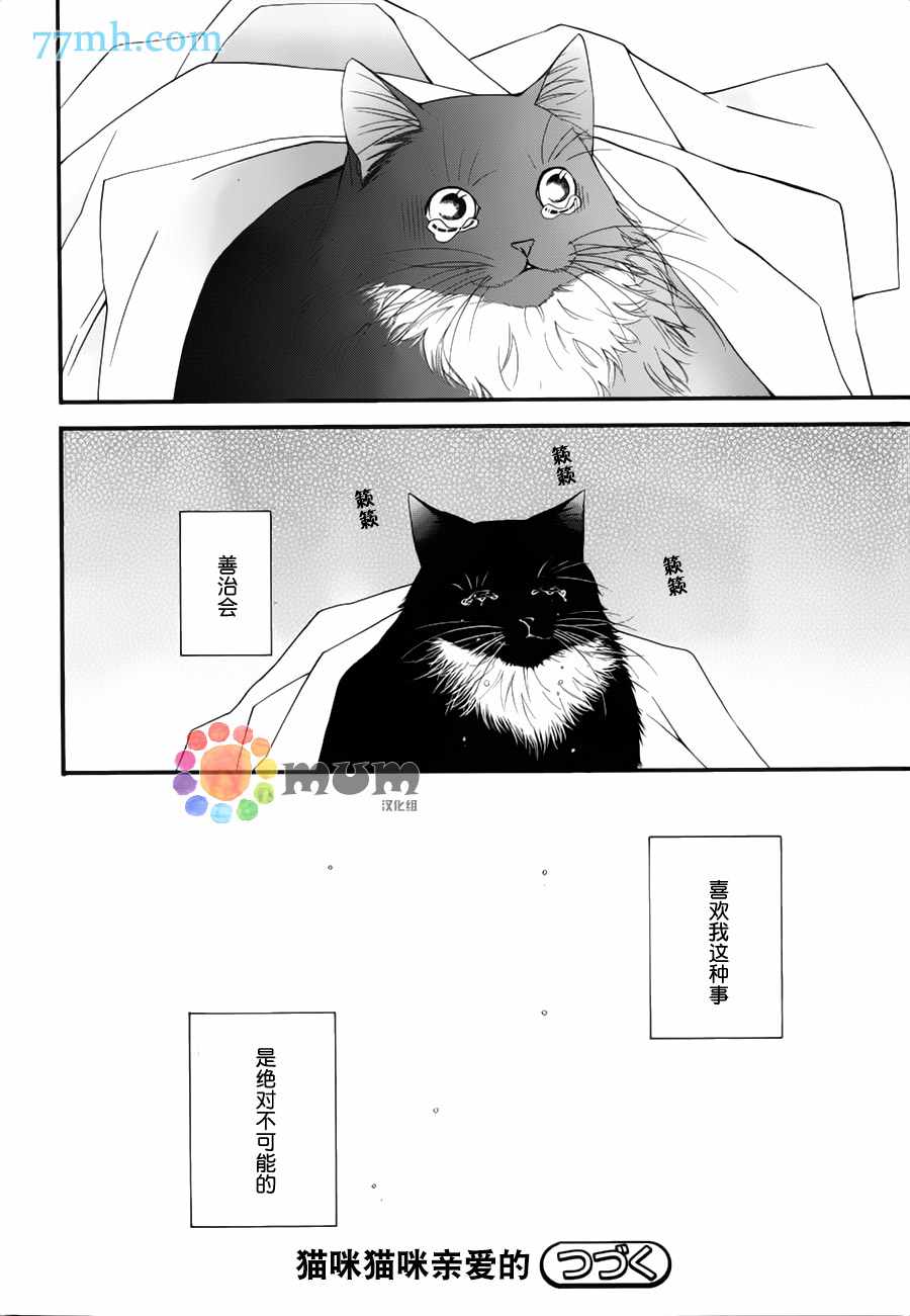 《猫咪达令》漫画 10话
