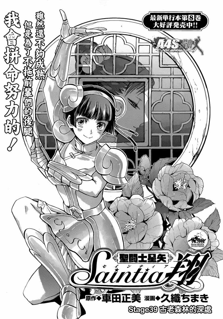 《圣斗士星矢 圣斗少女翔》漫画 圣斗少女翔 039话