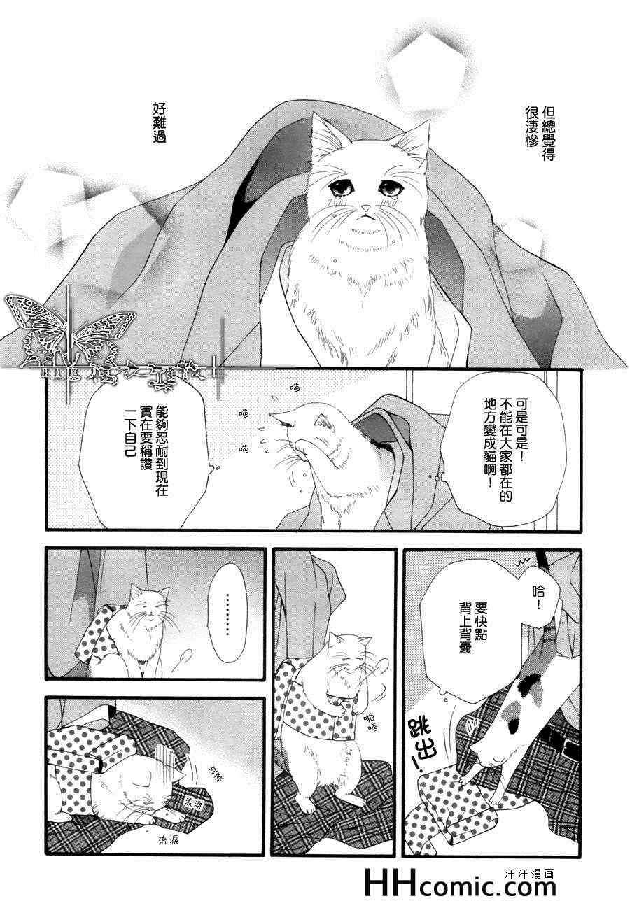 《猫咪猫咪Honey》漫画 002集