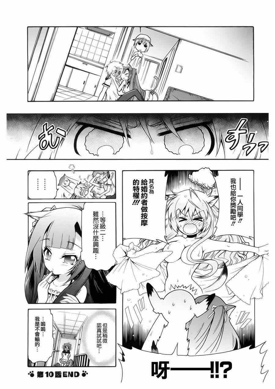 《禁止入侵!!纯血特区!》漫画 纯血特区 010集