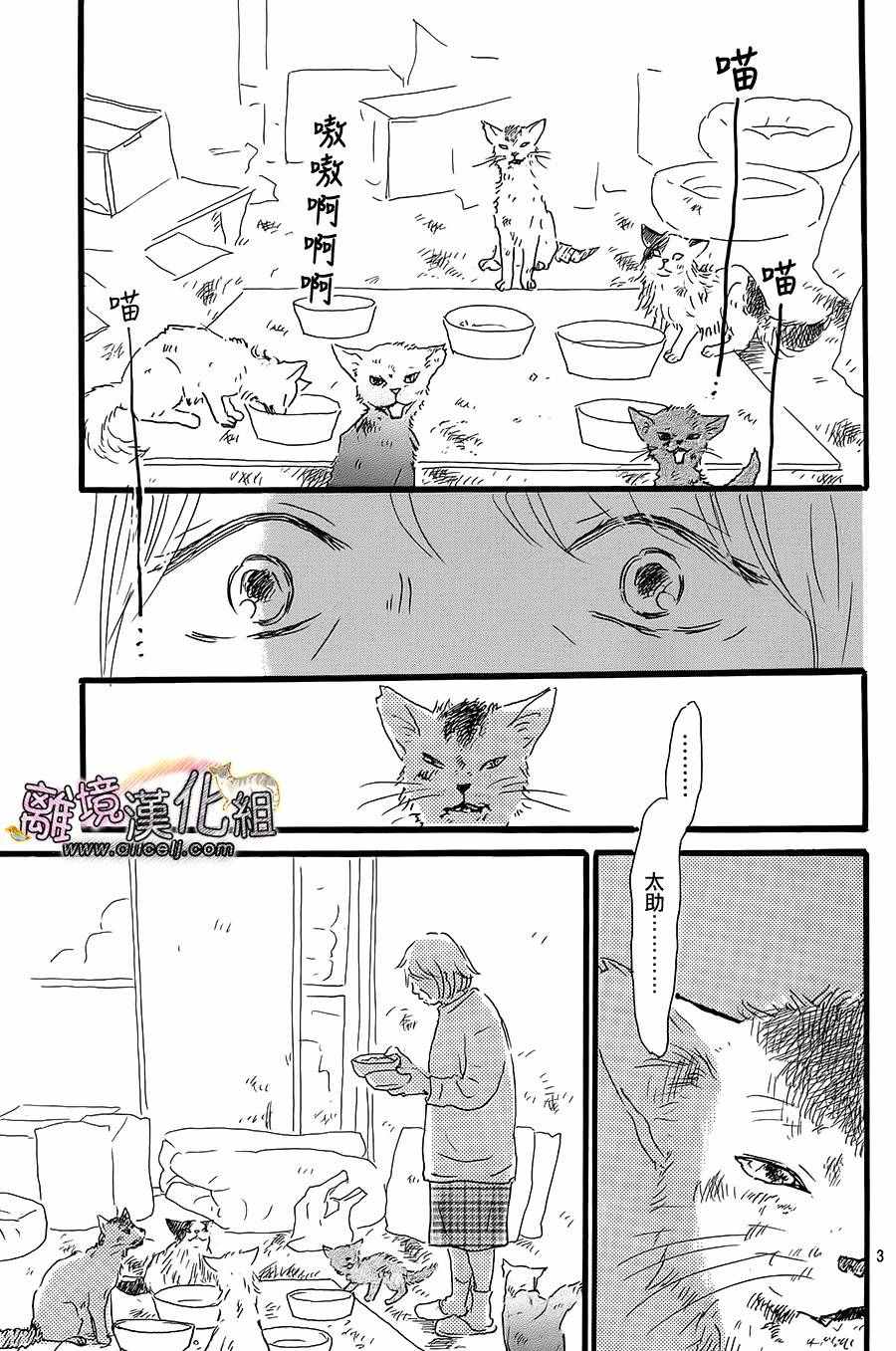 《小巷里的七宝诊疗所》漫画 016话