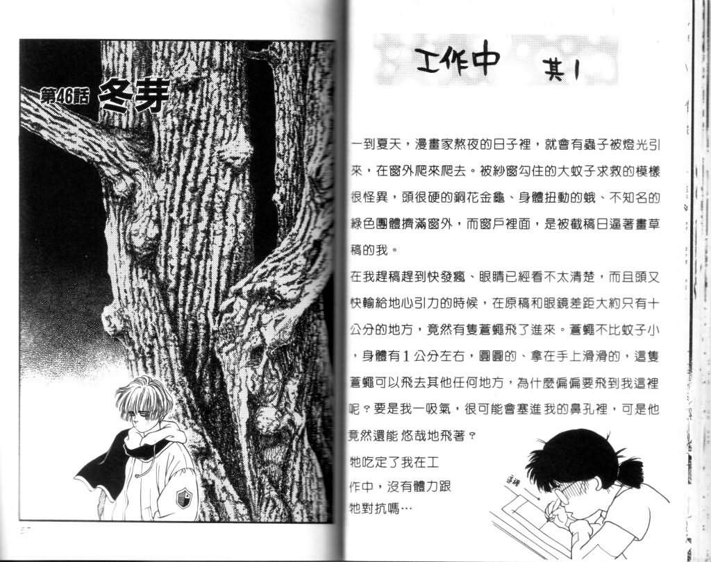 《蔷薇之恋》漫画 12卷