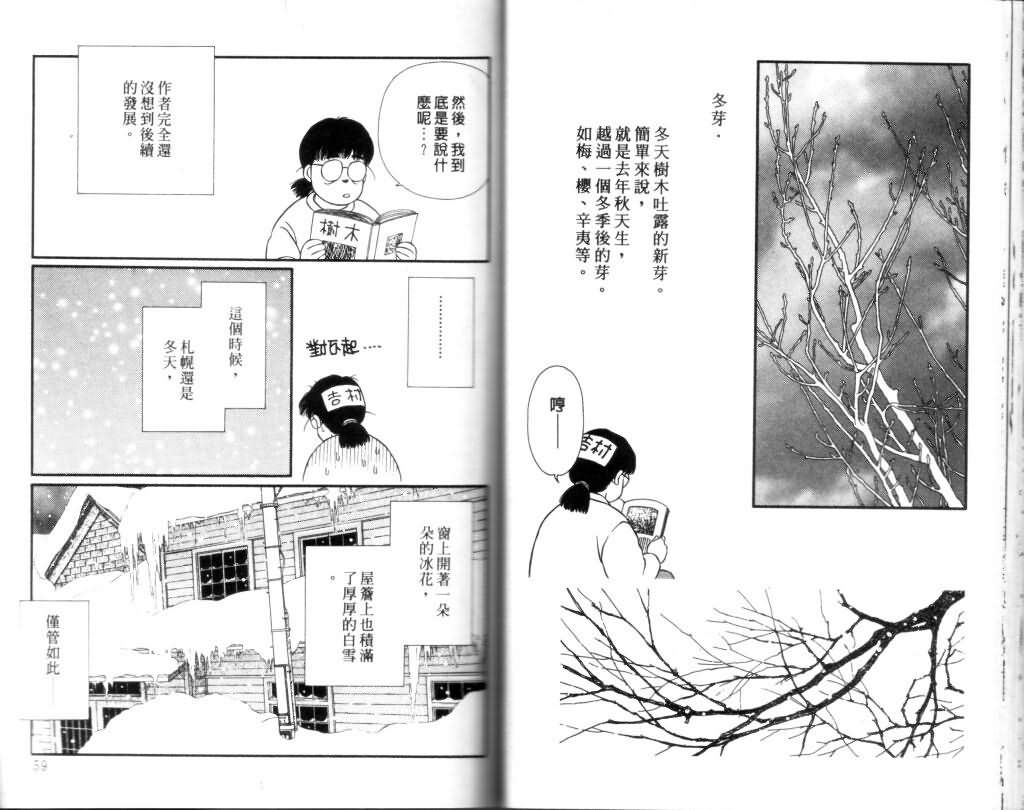 《蔷薇之恋》漫画 12卷