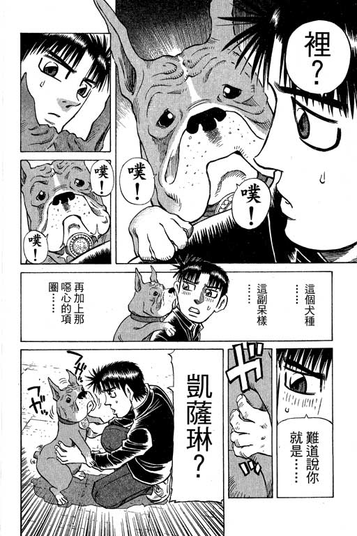 《胜负师传说》漫画 30卷