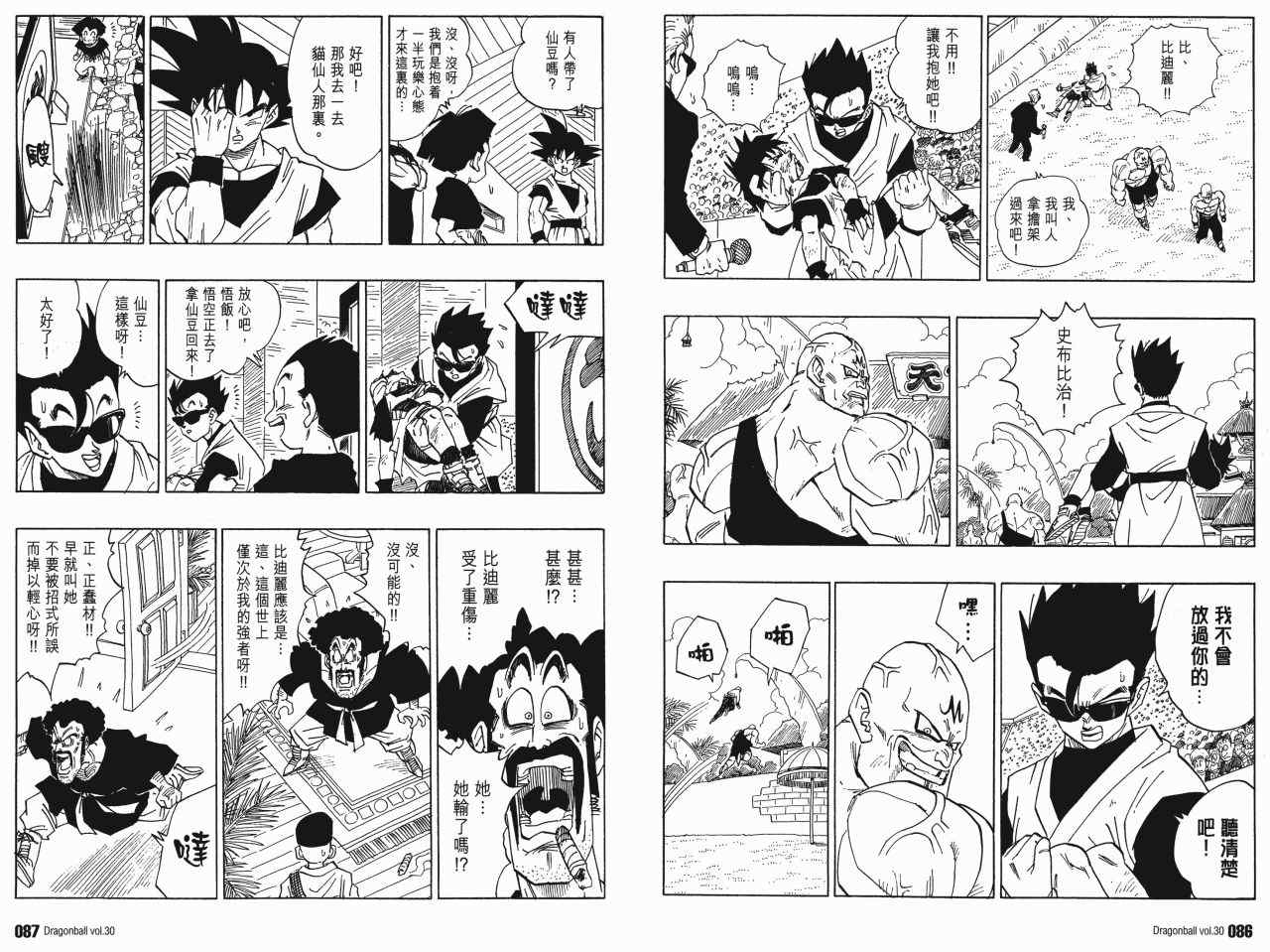 《龙珠完全版》漫画 30卷