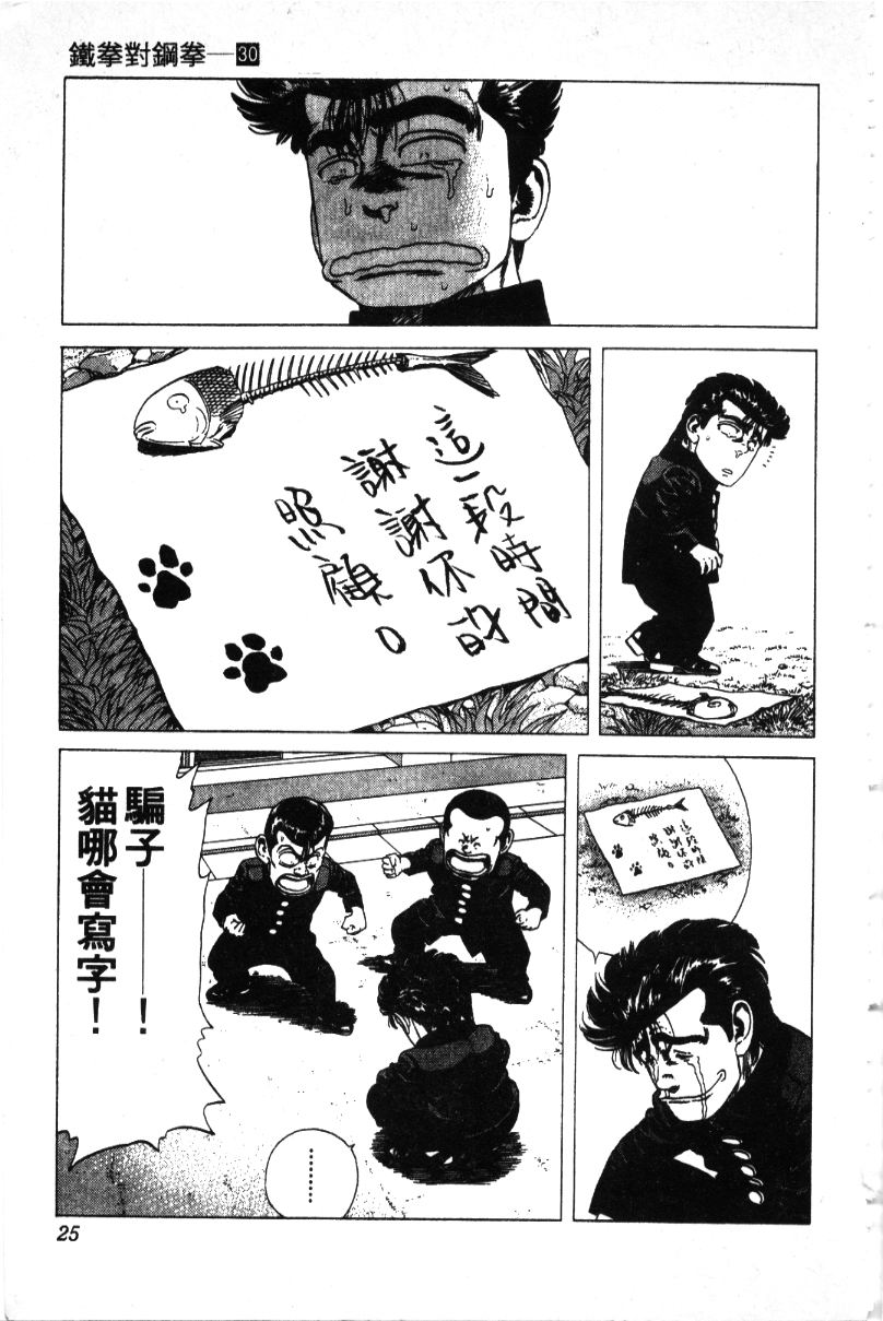 《铁拳对钢拳》漫画 无赖布鲁斯30卷